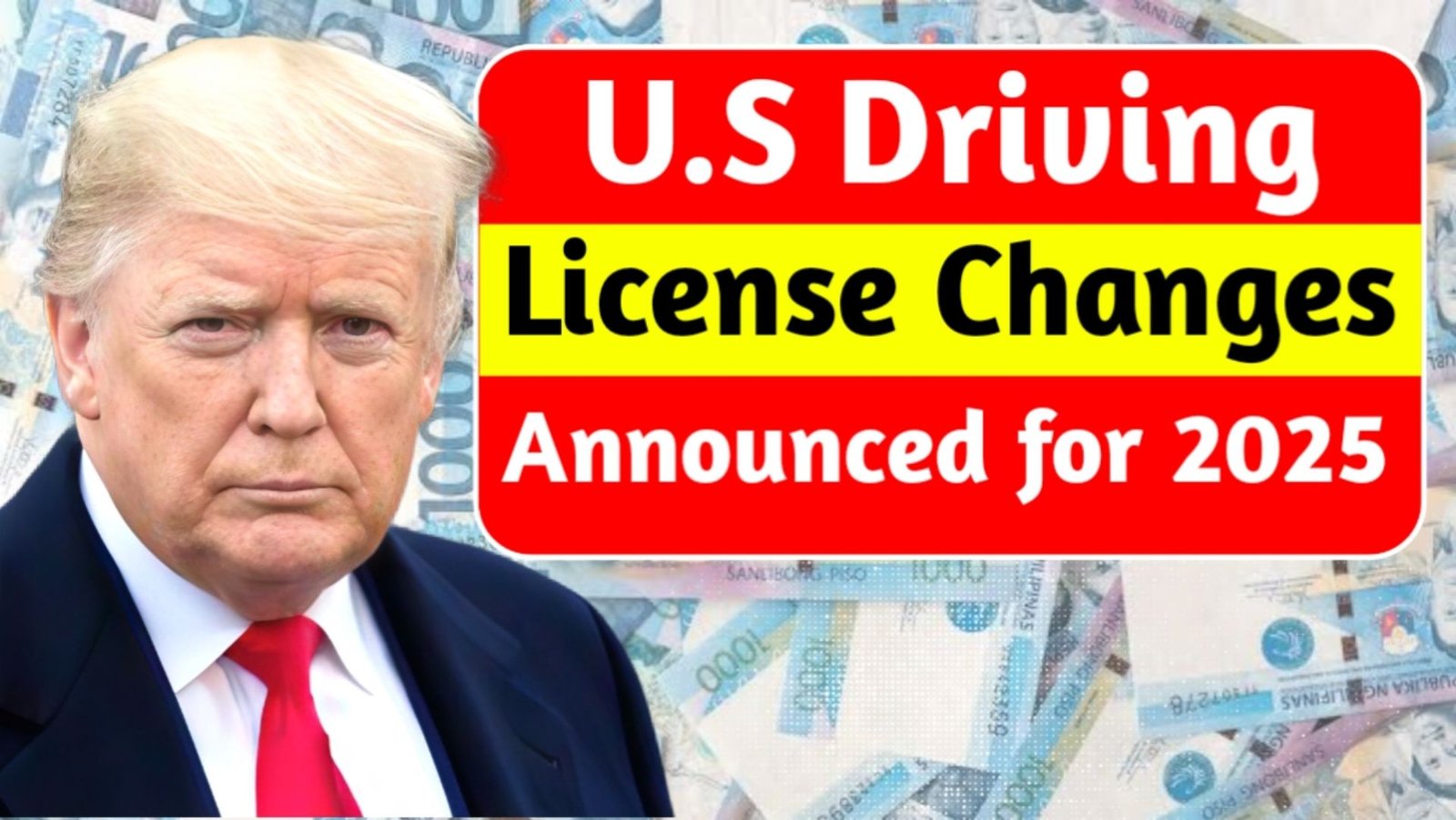 U.S. Driving License